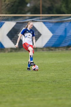 Bild 44 - wBJ Hamburger SV - Eimsbuettler TV : Ergebnis: 4:0
